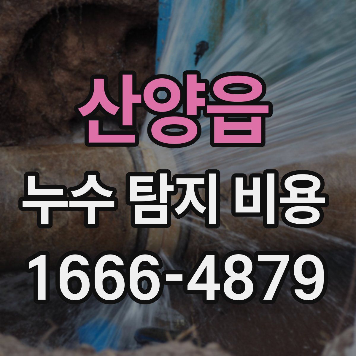 산양읍 누수 탐지 비용