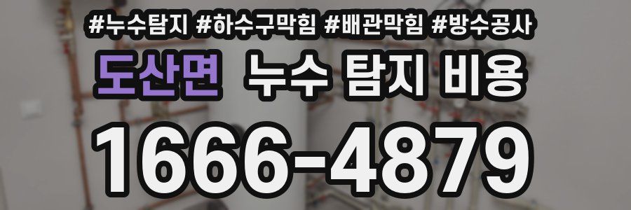도산면 누수 탐지 비용