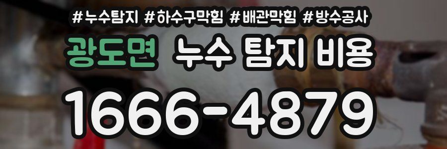 광도면 누수 탐지 비용
