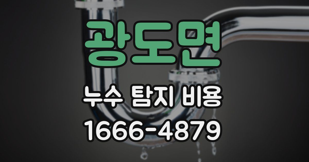 광도면 누수 탐지 비용