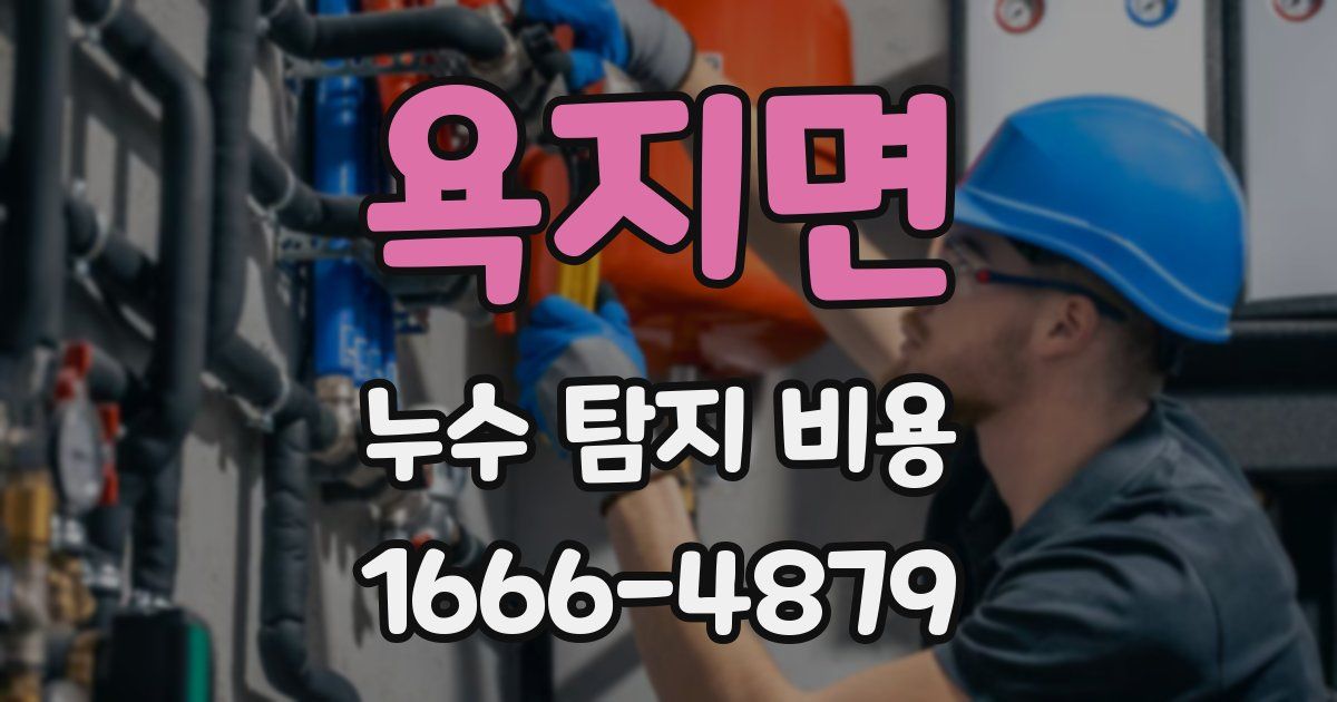 욕지면 누수 탐지 비용