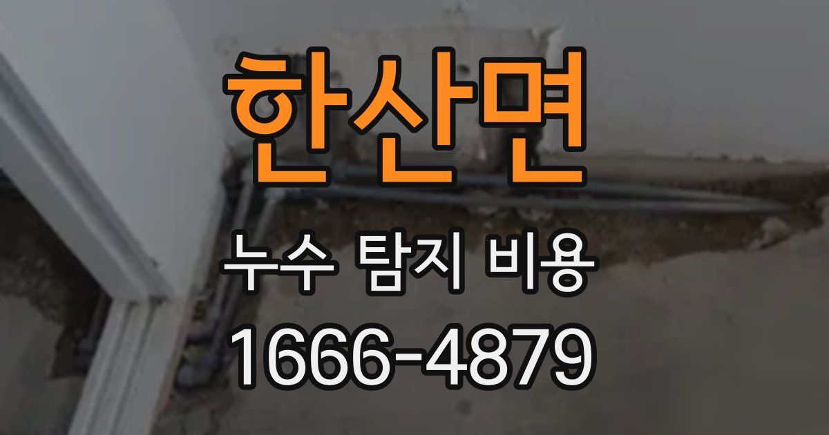 한산면 누수 탐지 비용
