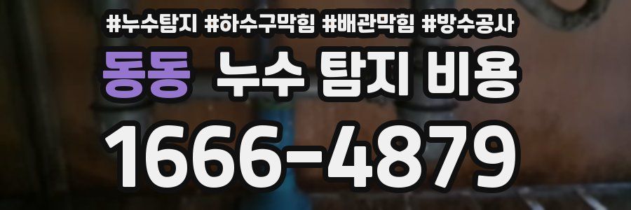 동동 누수 탐지 비용