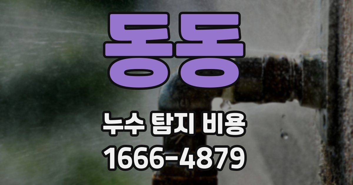 동동 누수 탐지 비용