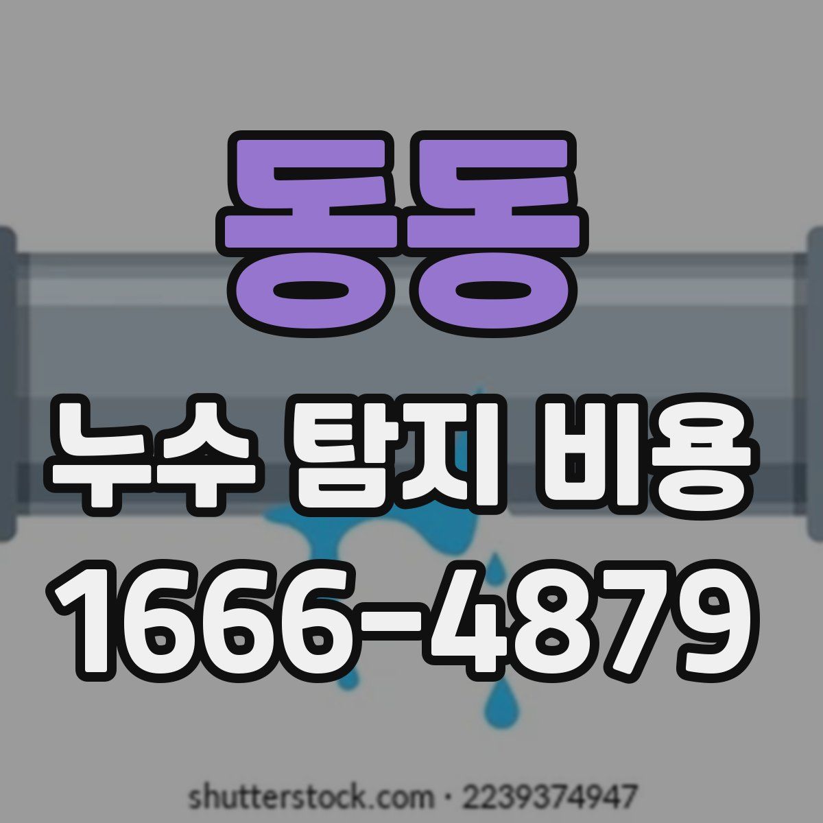 동동 누수 탐지 비용