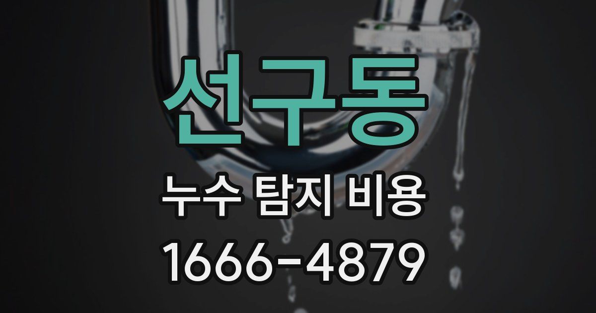 선구동 누수 탐지 비용