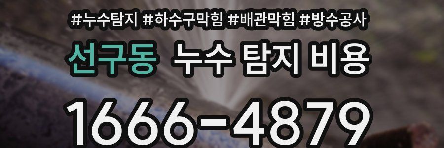 선구동 누수 탐지 비용