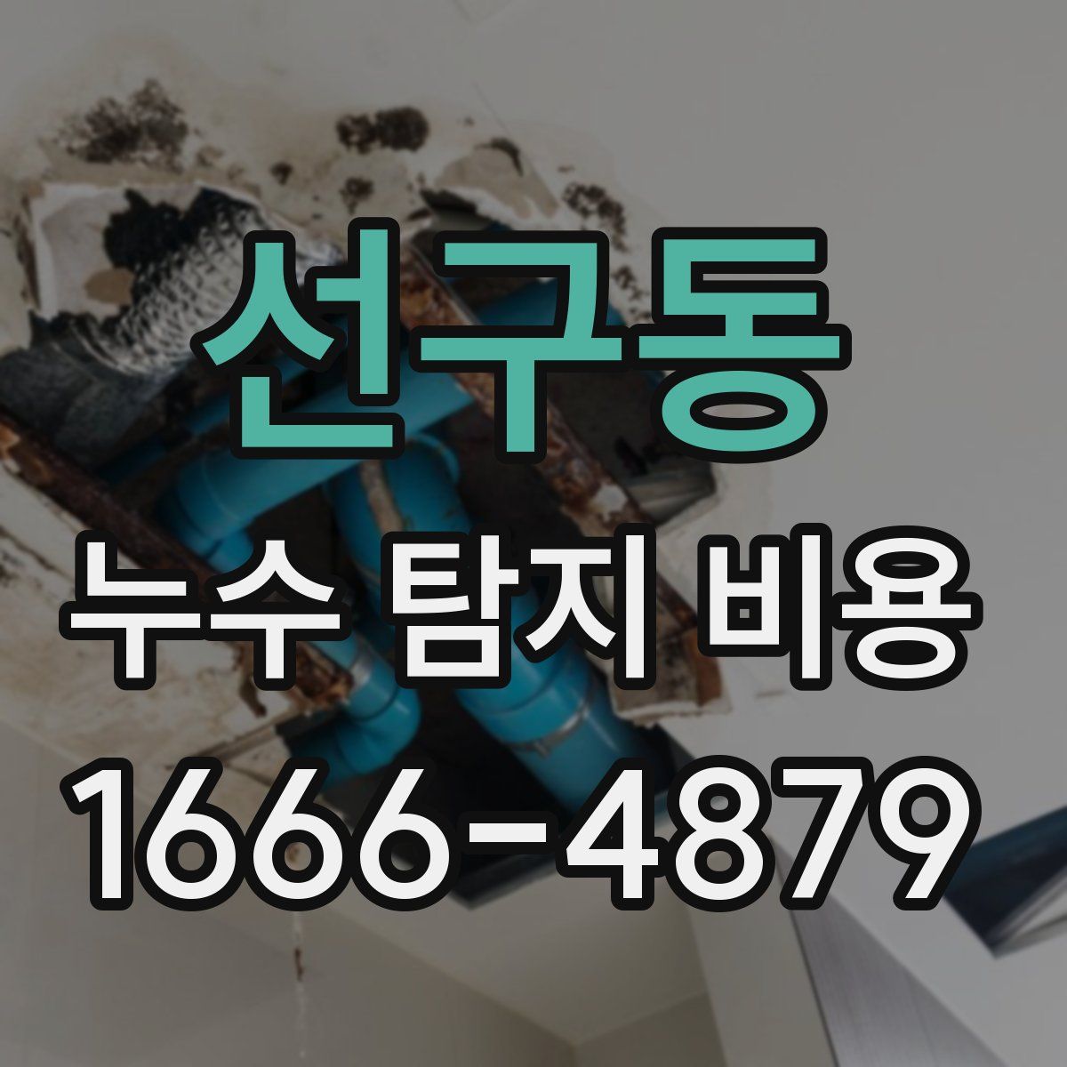 선구동 누수 탐지 비용