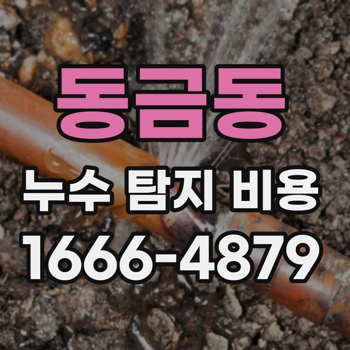동금동 누수 탐지 비용