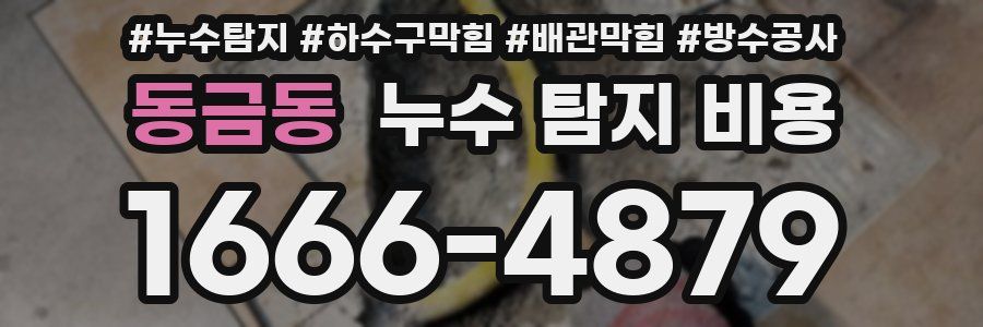 동금동 누수 탐지 비용