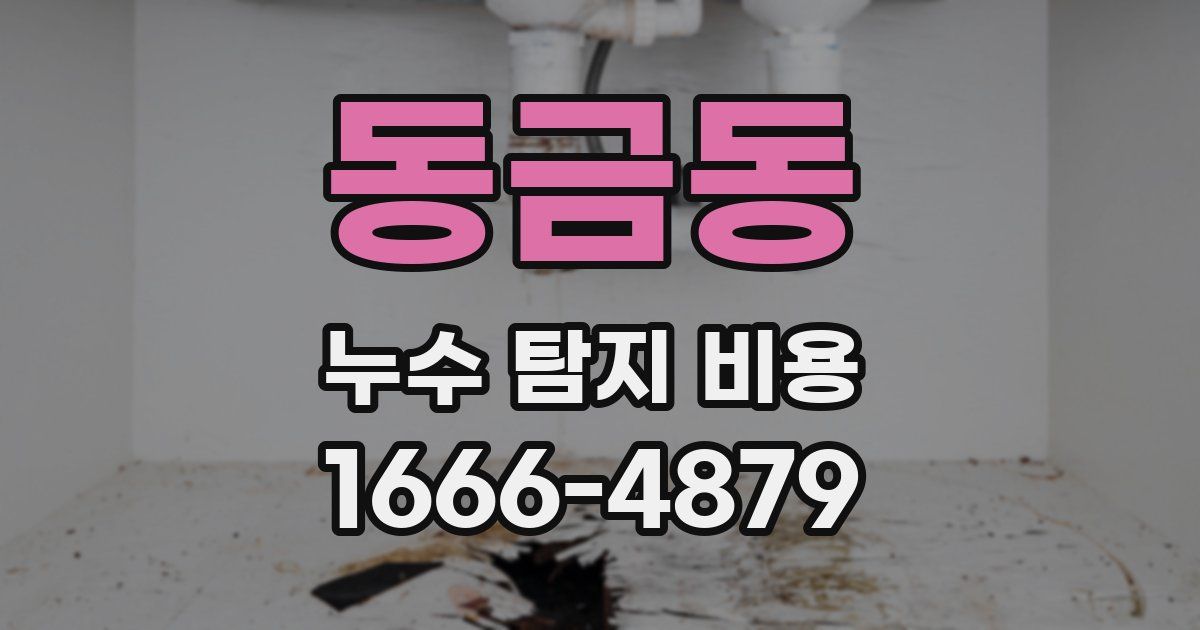 동금동 누수 탐지 비용