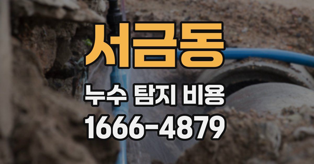서금동 누수 탐지 비용