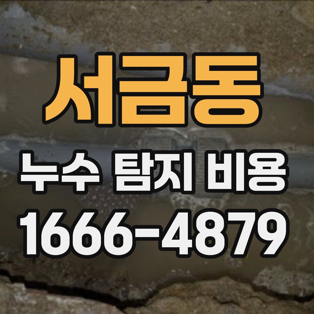 서금동 누수 탐지 비용