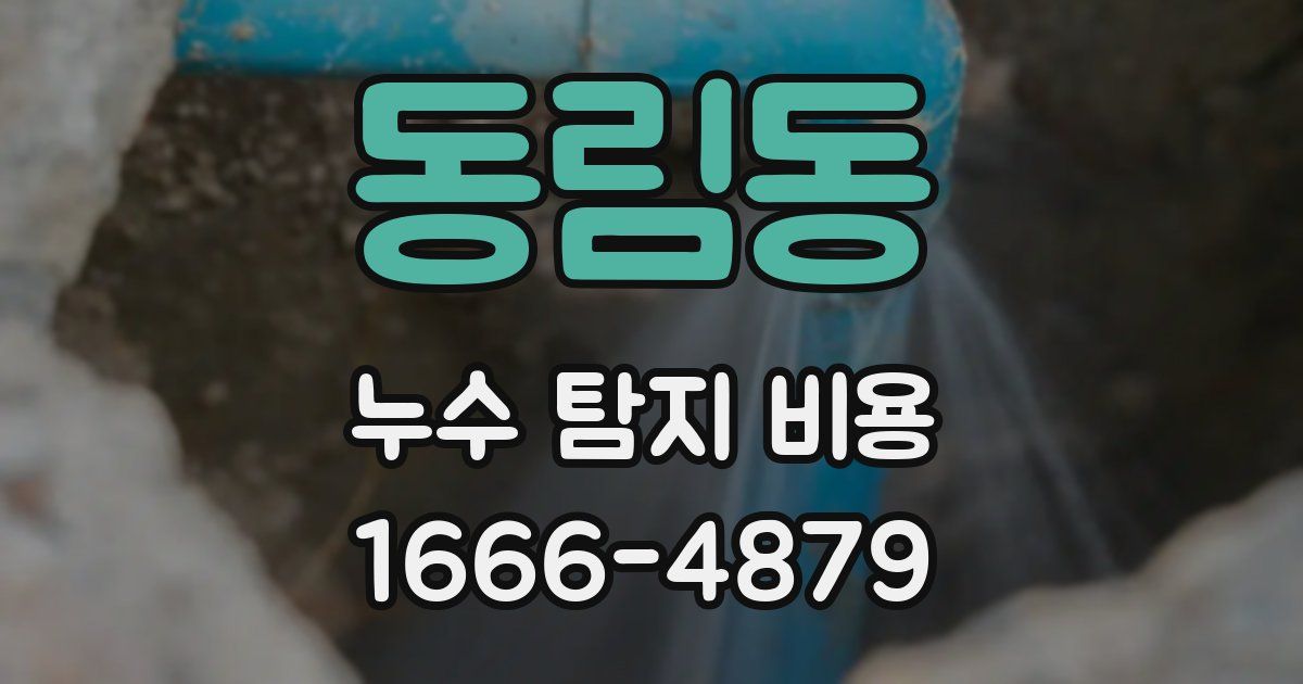 동림동 누수 탐지 비용