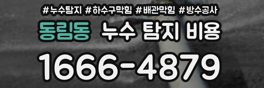 동림동 누수 탐지 비용