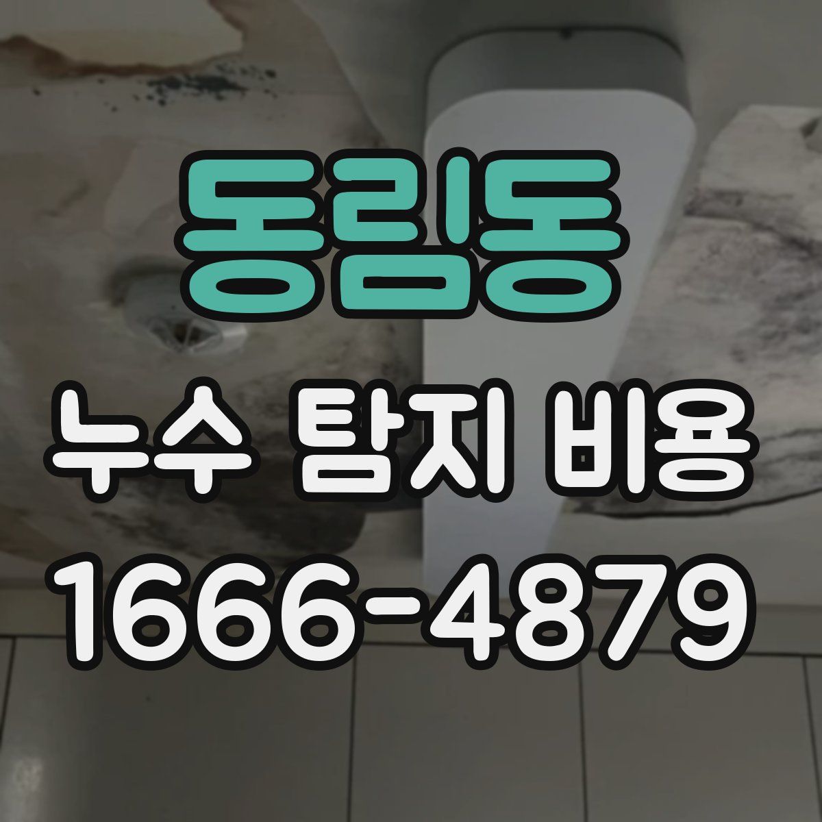 동림동 누수 탐지 비용