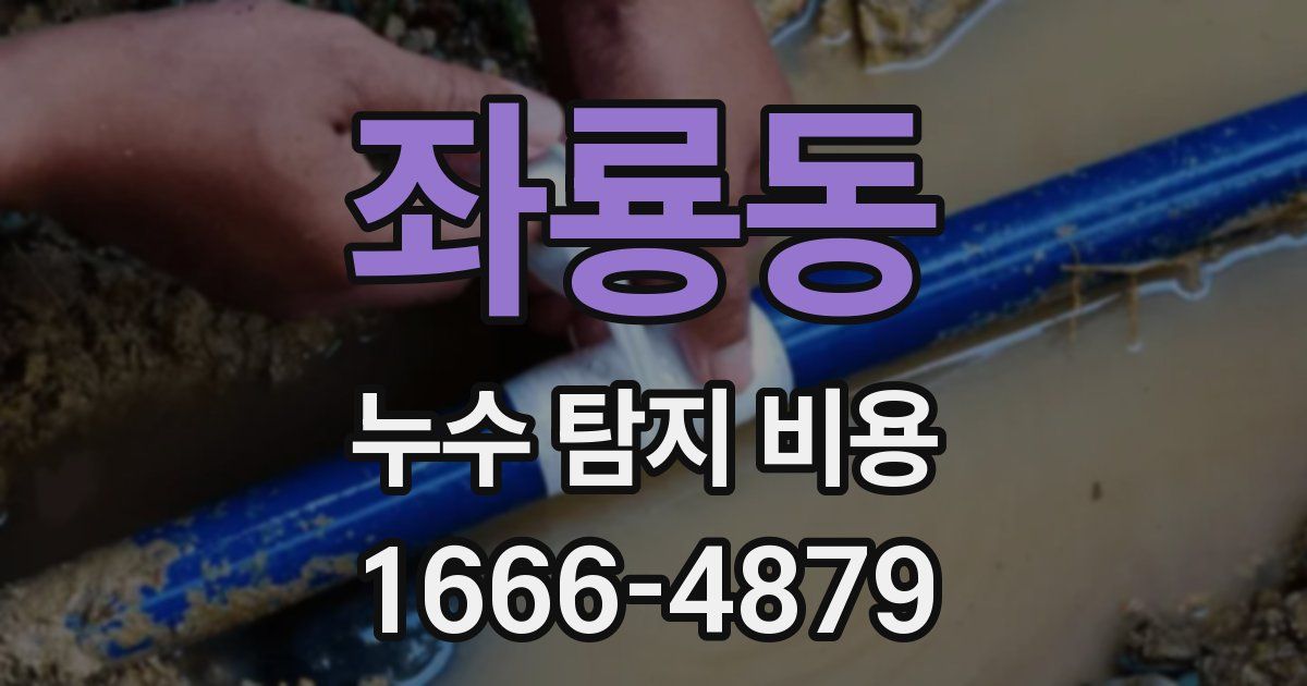 좌룡동 누수 탐지 비용