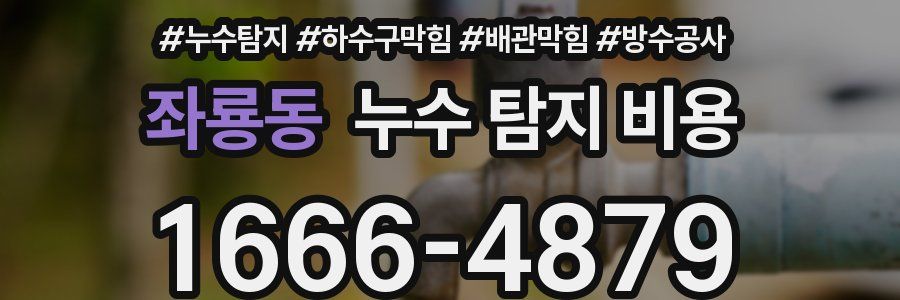 좌룡동 누수 탐지 비용