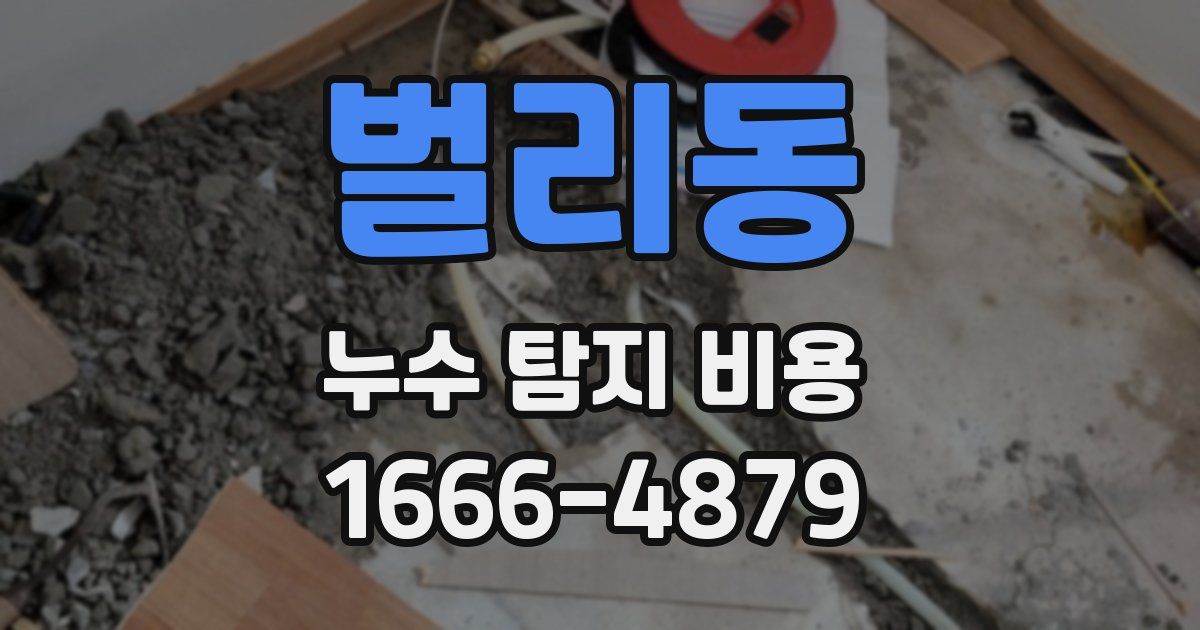 벌리동 누수 탐지 비용
