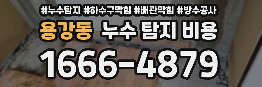 용강동 누수 탐지 비용