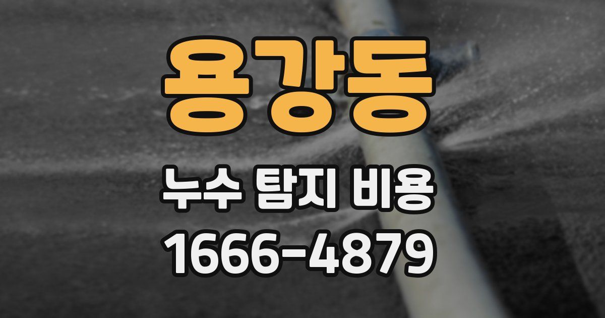 용강동 누수 탐지 비용