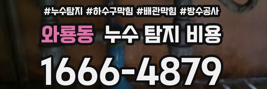 와룡동 누수 탐지 비용