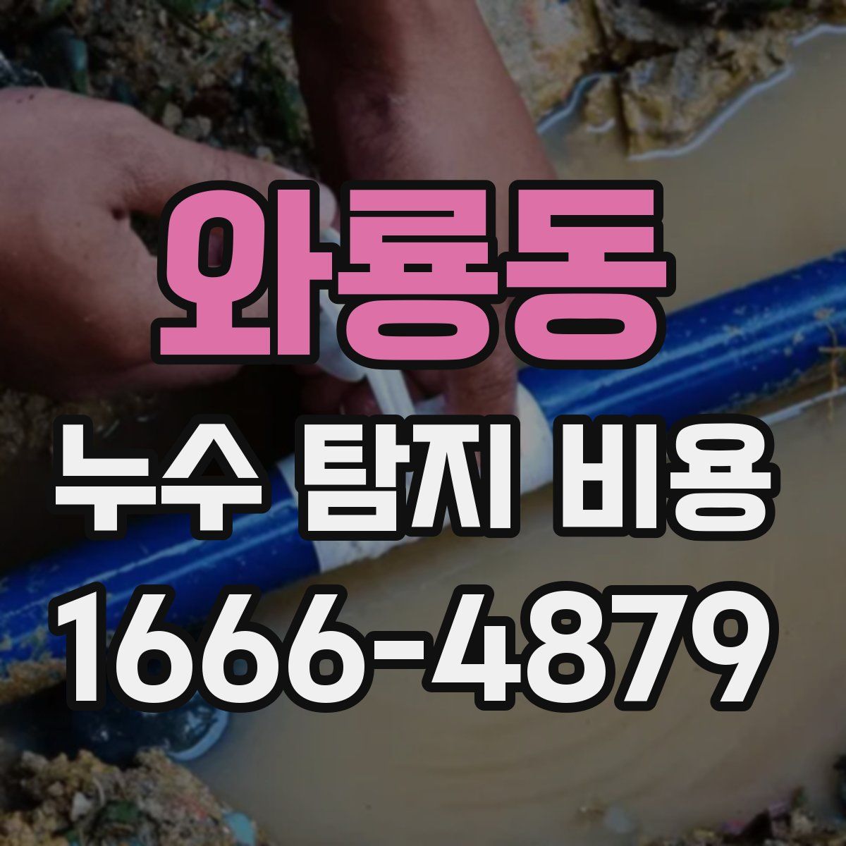 와룡동 누수 탐지 비용