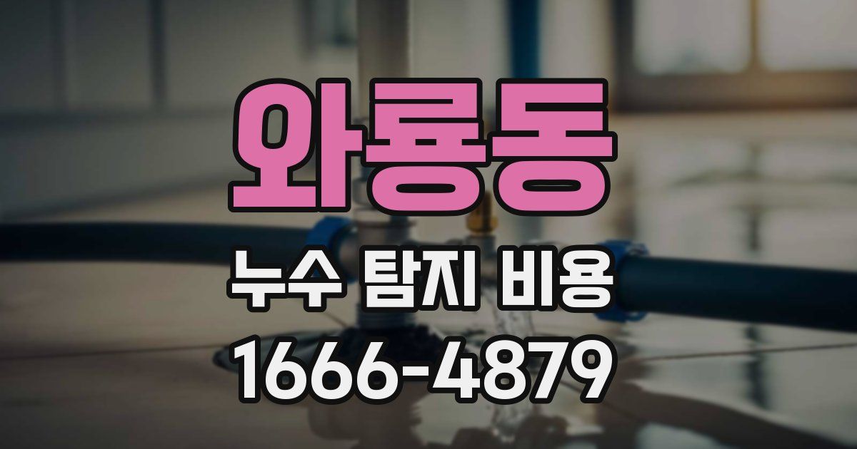 와룡동 누수 탐지 비용