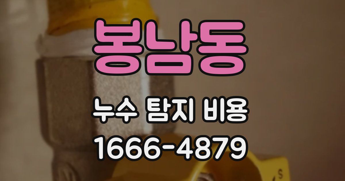 봉남동 누수 탐지 비용