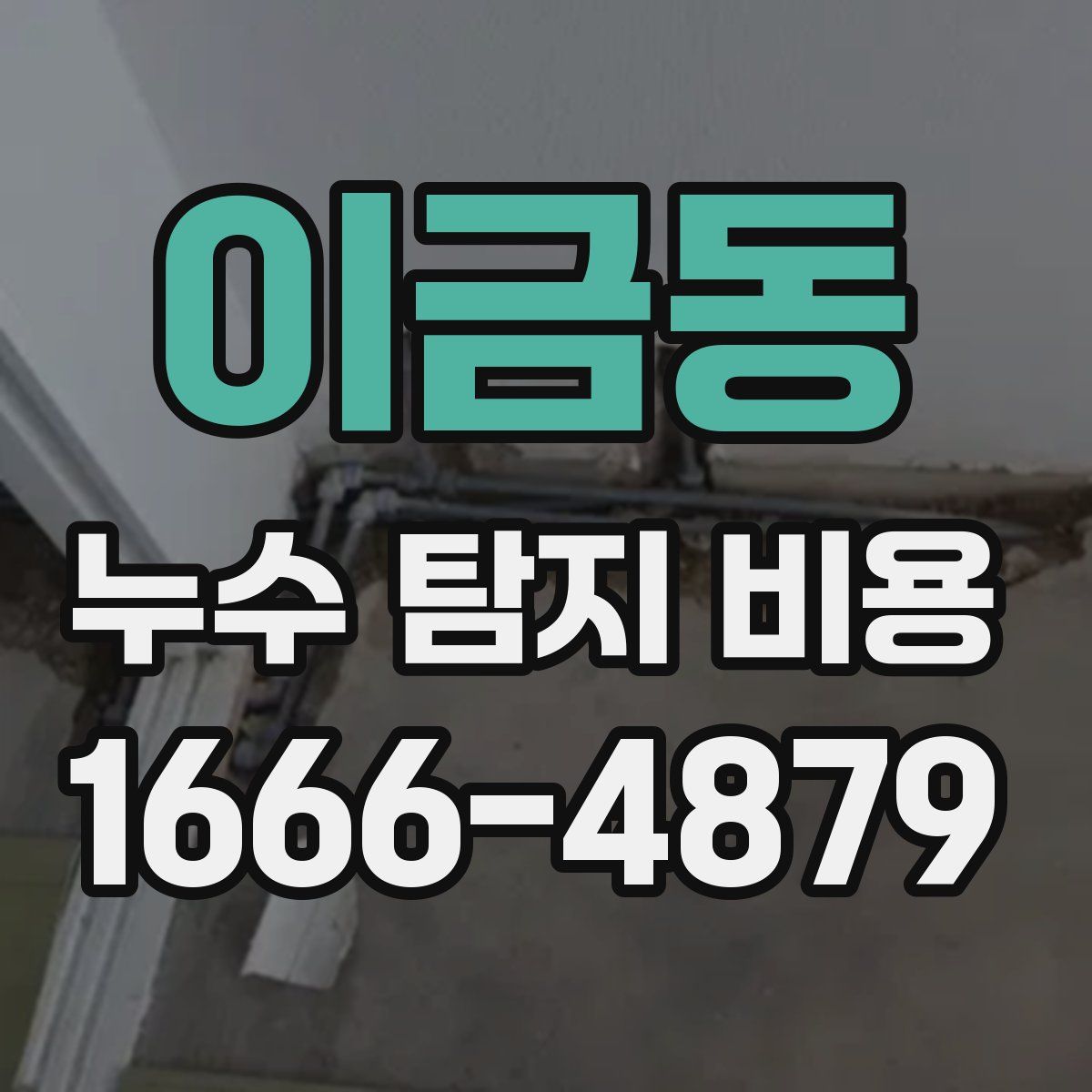 이금동 누수 탐지 비용