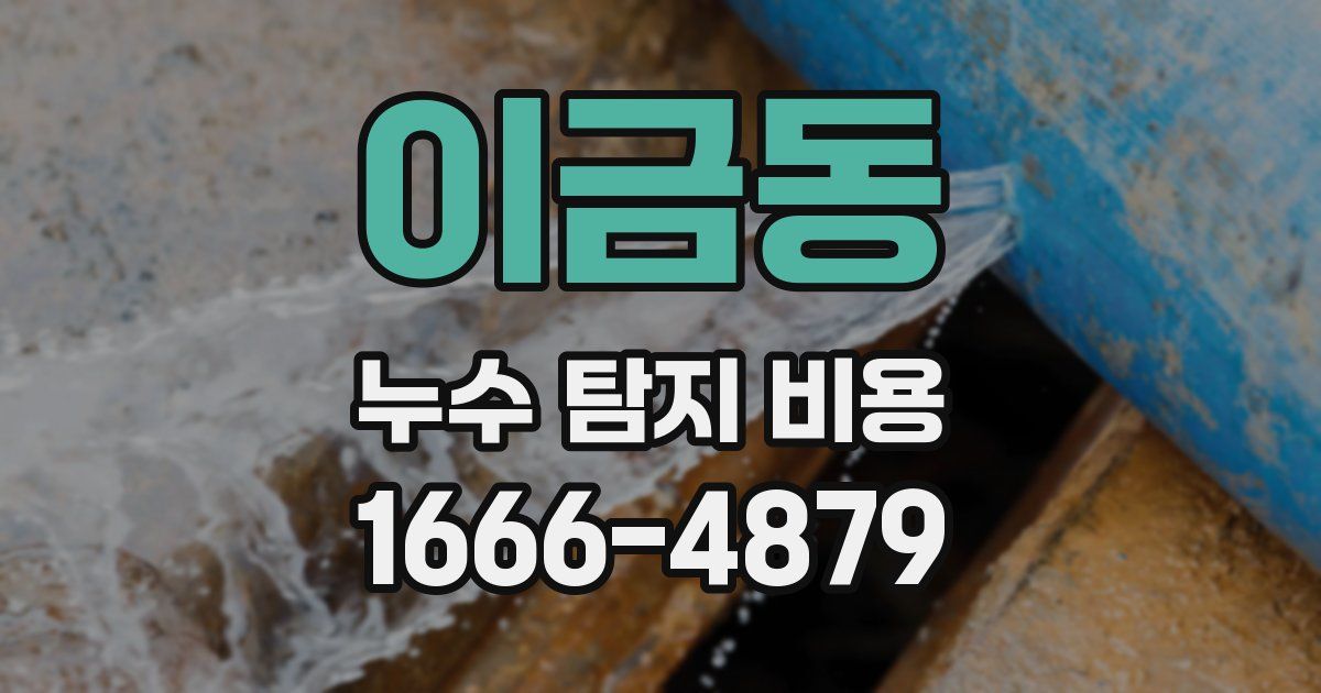 이금동 누수 탐지 비용