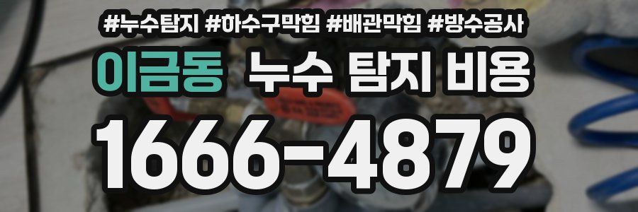 이금동 누수 탐지 비용