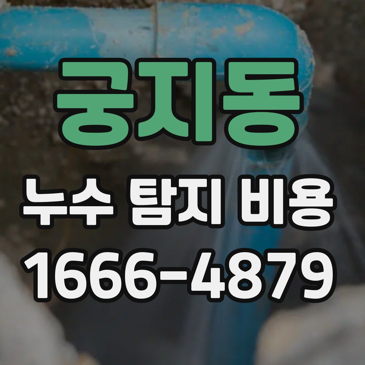 궁지동 누수 탐지 비용