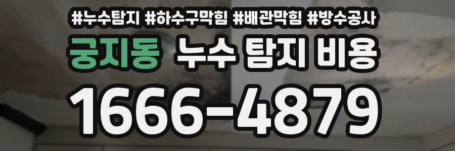 궁지동 누수 탐지 비용