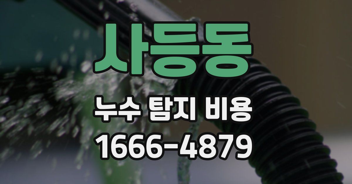 사등동 누수 탐지 비용