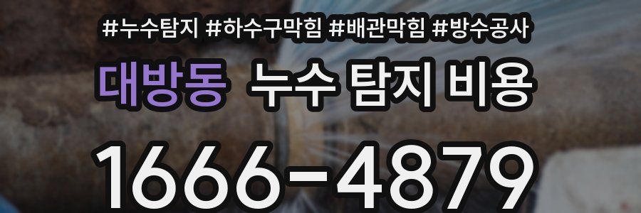 대방동 누수 탐지 비용