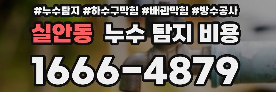 실안동 누수 탐지 비용