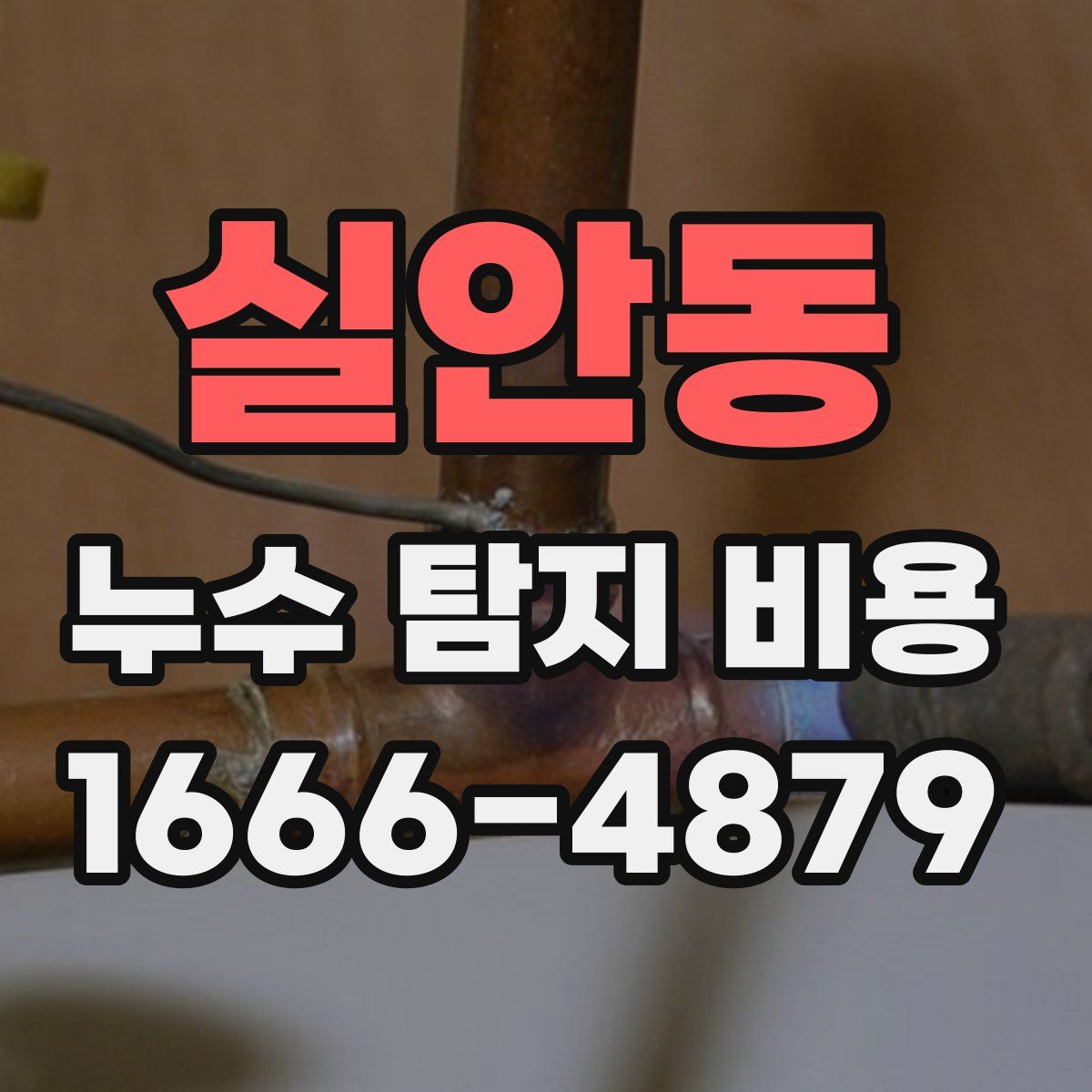 실안동 누수 탐지 비용