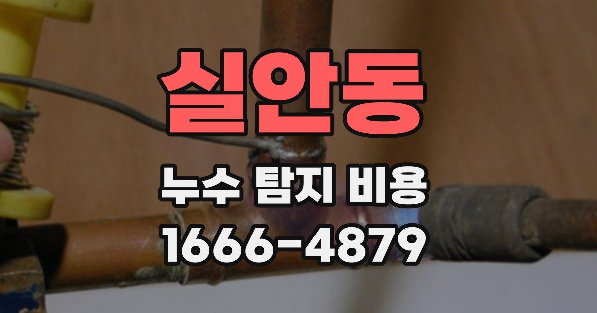 실안동 누수 탐지 비용