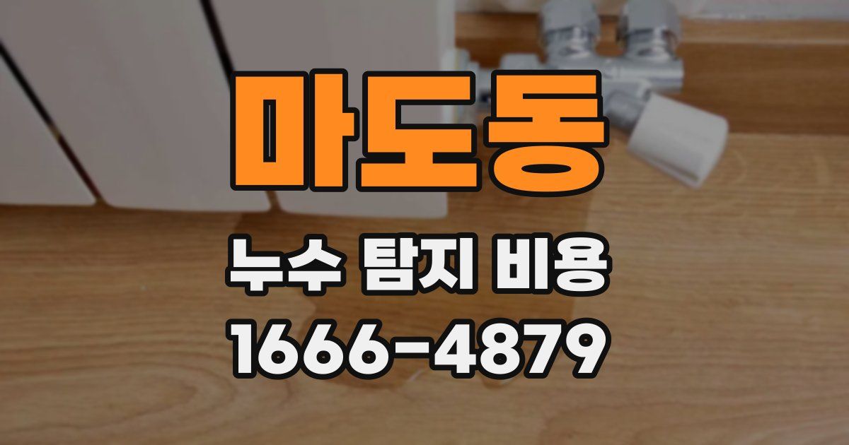 마도동 누수 탐지 비용