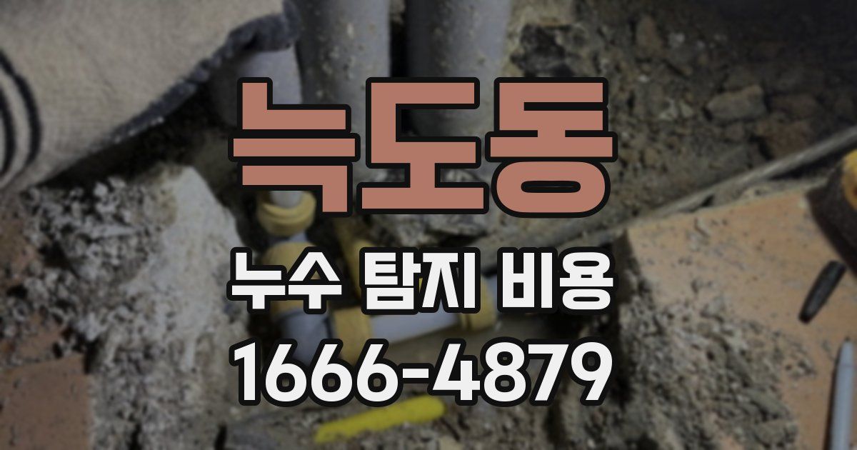 늑도동 누수 탐지 비용