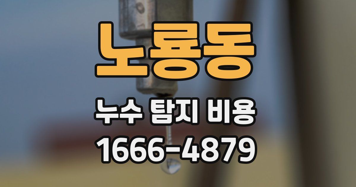 노룡동 누수 탐지 비용