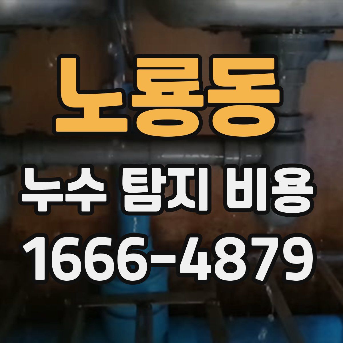 노룡동 누수 탐지 비용