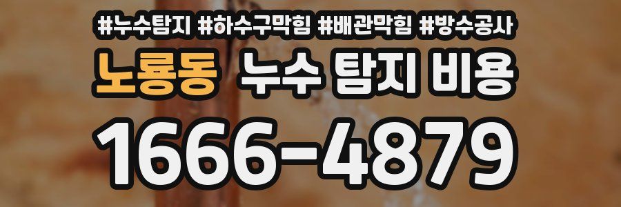 노룡동 누수 탐지 비용