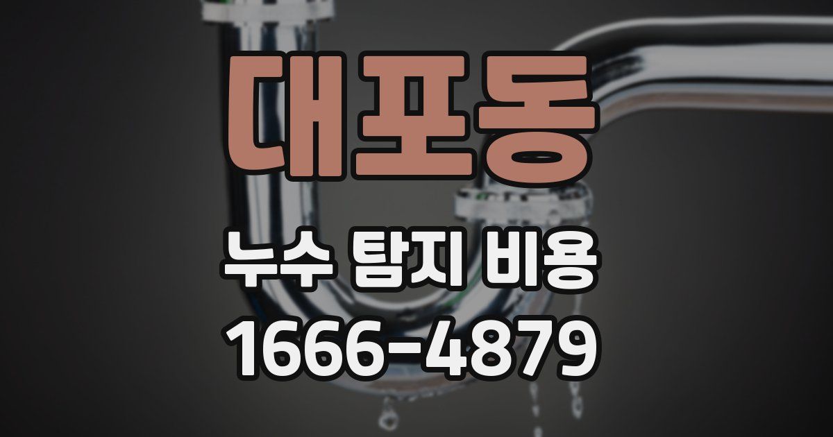 대포동 누수 탐지 비용