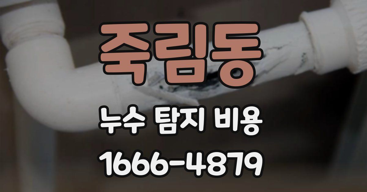 죽림동 누수 탐지 비용