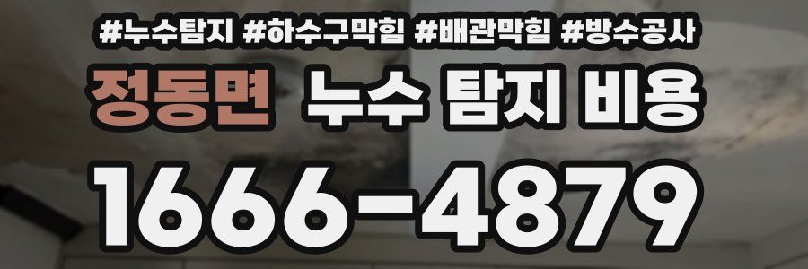 정동면 누수 탐지 비용