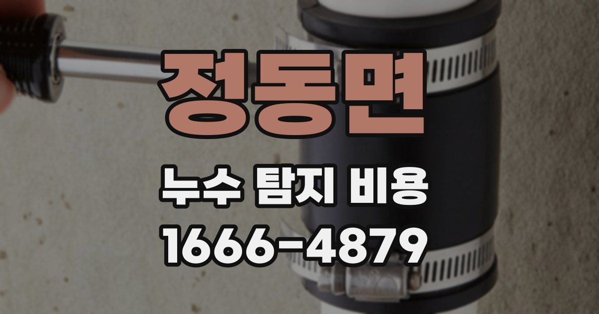 정동면 누수 탐지 비용