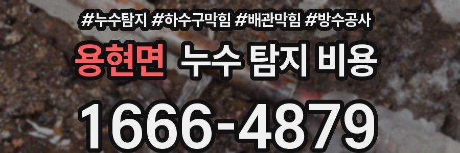 용현면 누수 탐지 비용