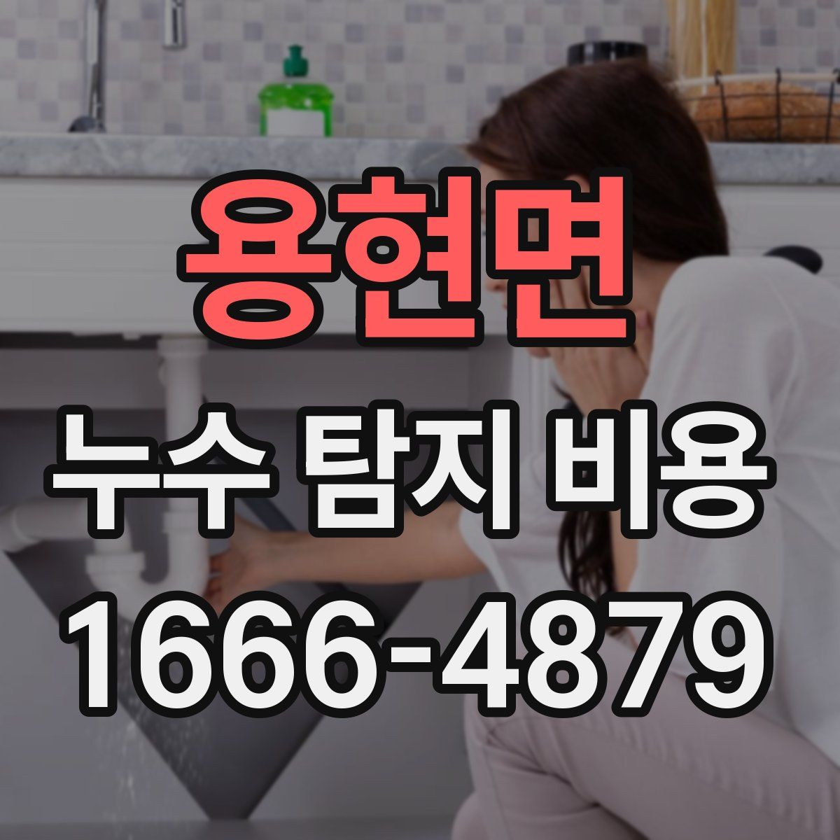 용현면 누수 탐지 비용
